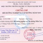 cc-cap-duong-hue-19