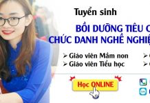 Khóa học bồi dưỡng tiêu chuẩn chức danh nghề nghiệp cho giáo viên