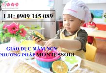 Khóa học Giáo dục mầm non ứng dụng phương pháp Montessori