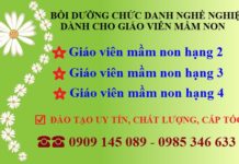 Chức danh nghề nghiệp giáo viên mầm non hạng 2, 3, 4