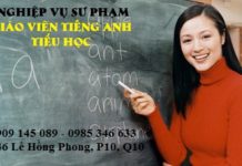 Khóa học nghiệp vụ sư phạm giáo viên tiếng Anh tiểu học