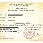 cc-ky-nang-song-vte
