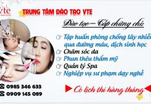 Tổ chức ôn, thi chứng chỉ ngành chăm sóc sắc đẹp
