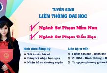 Tuyển sinh Liên thông ĐH Sư phạm Mầm non, SP Tiểu học